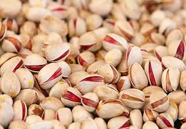 فروش پسته کوهی